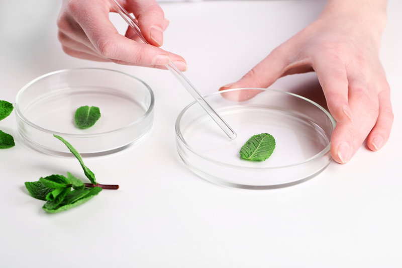 service details image